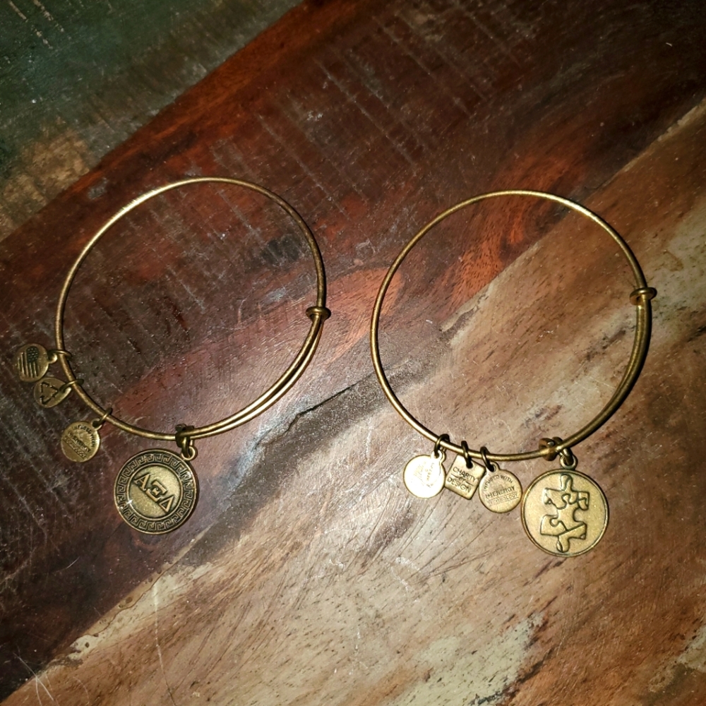 2 Alex and Ani Gold Tone/Brass Puzzle Autism & Sorority Charm Bangle Bra…